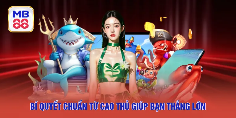 Bí quyết chuẩn từ cao thủ giúp bạn thắng lớn
