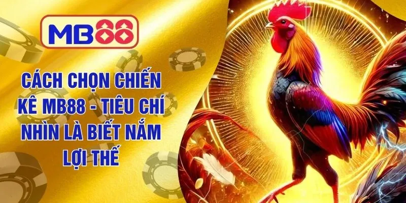 Cách Chọn Chiến Kê MB88 - Tiêu Chí Nhìn Là Biết Nắm Lợi Thế