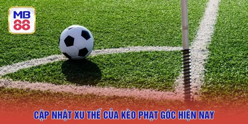 Cập nhật xu thế của kèo phạt góc hiện nay