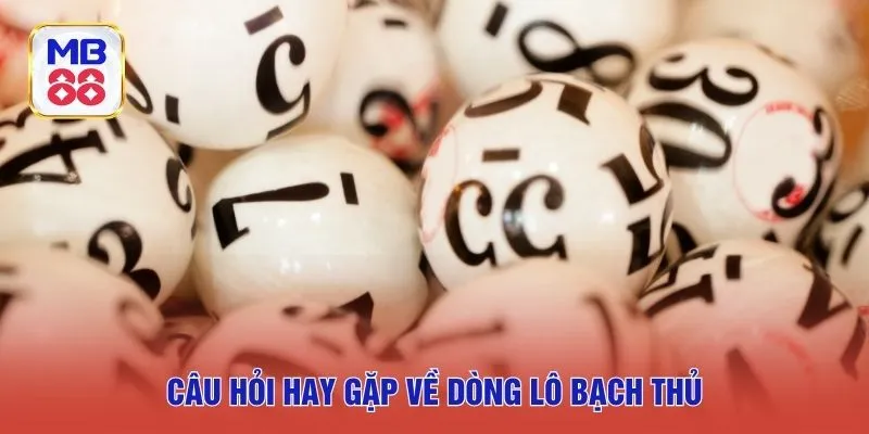 Câu hỏi hay gặp về dòng lô bạch thủ
