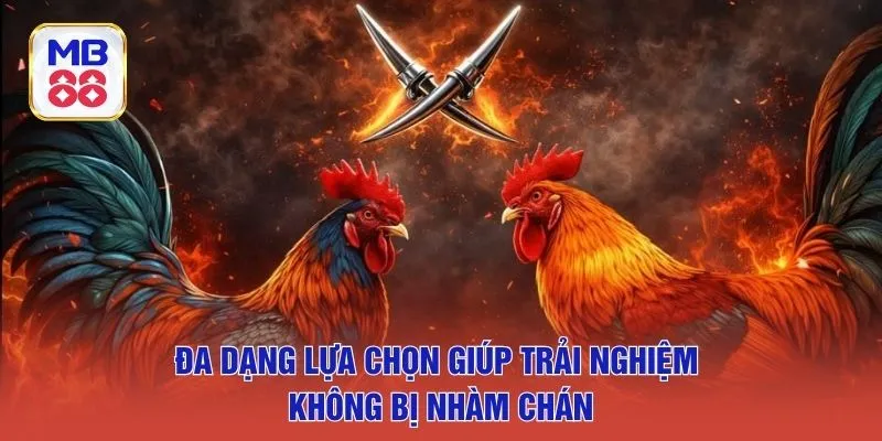 Đa dạng lựa chọn giúp trải nghiệm không bị nhàm chán
