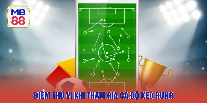 Điểm thú vị khi tham gia cá độ kèo rung