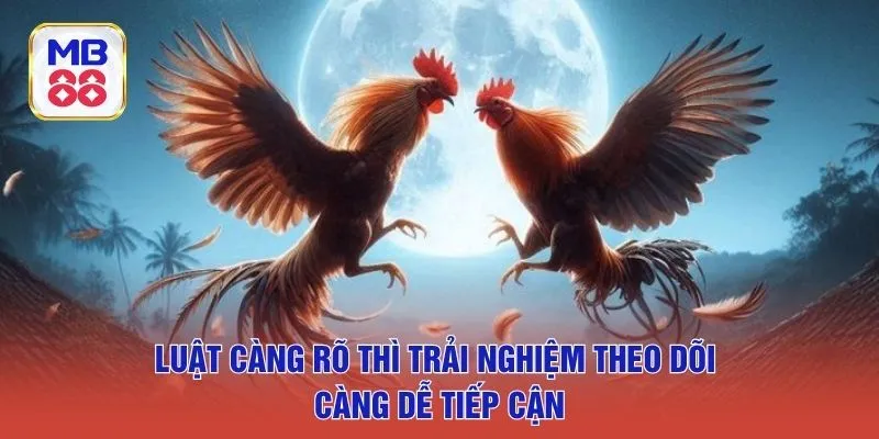 Luật càng rõ thì trải nghiệm theo dõi càng dễ tiếp cận