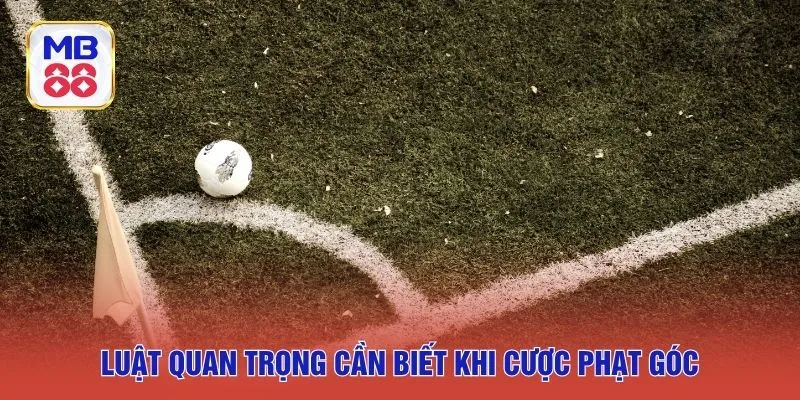 Luật quan trọng cần biết khi cược phạt góc