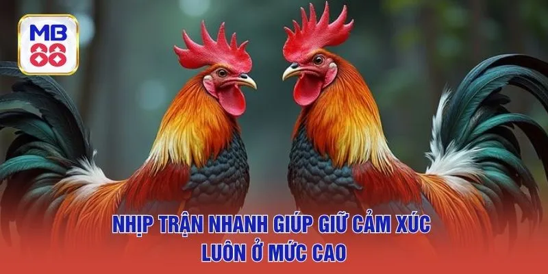 Nhịp trận nhanh giúp giữ cảm xúc luôn ở mức cao
