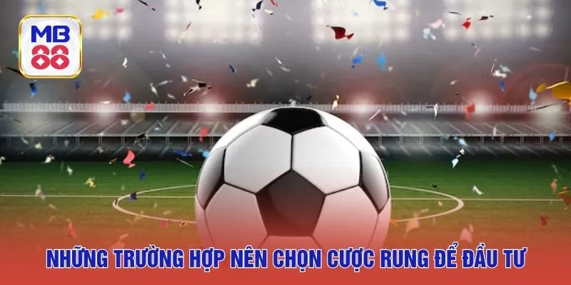 Những trường hợp nên chọn cược rung để đầu tư
