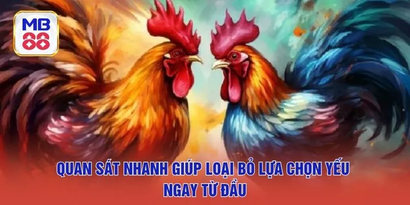 Quan sát nhanh giúp loại bỏ lựa chọn yếu ngay từ đầu